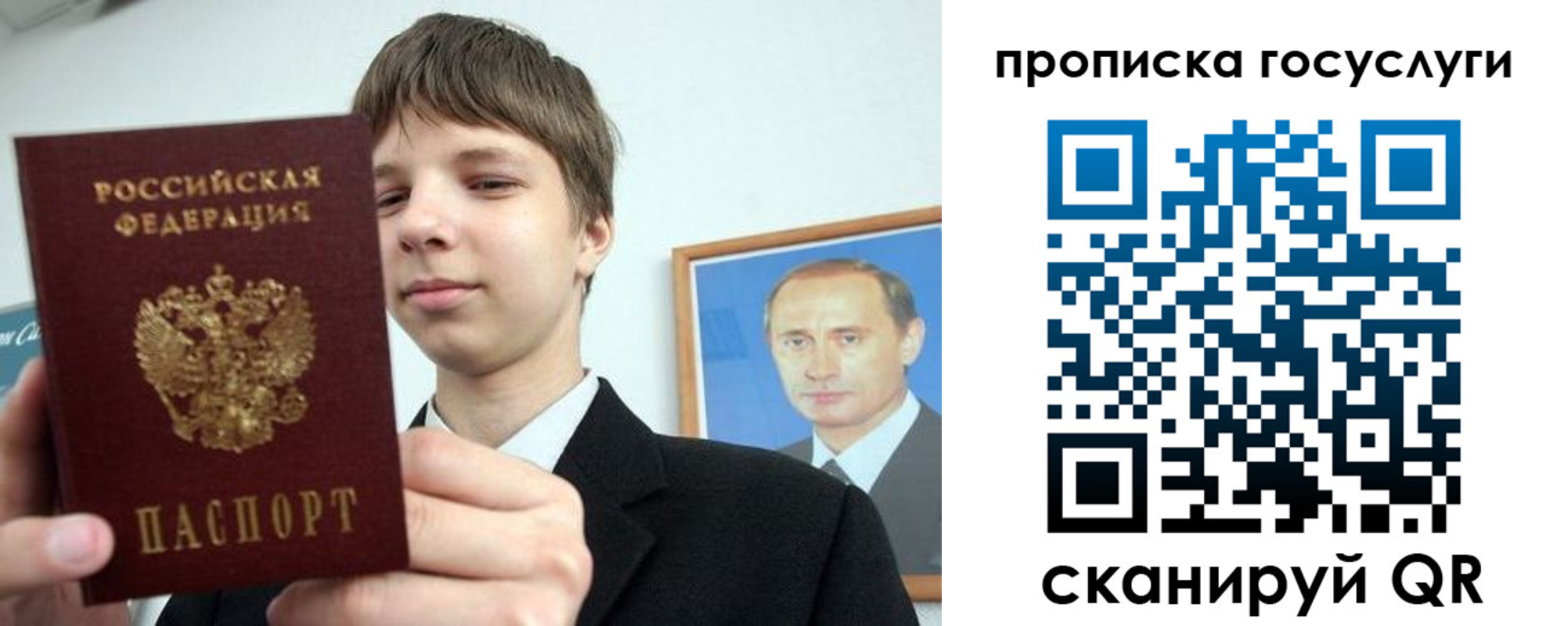 прописка поиск в Ельне