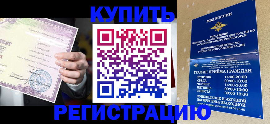 временная регистрация собственник в Ельне